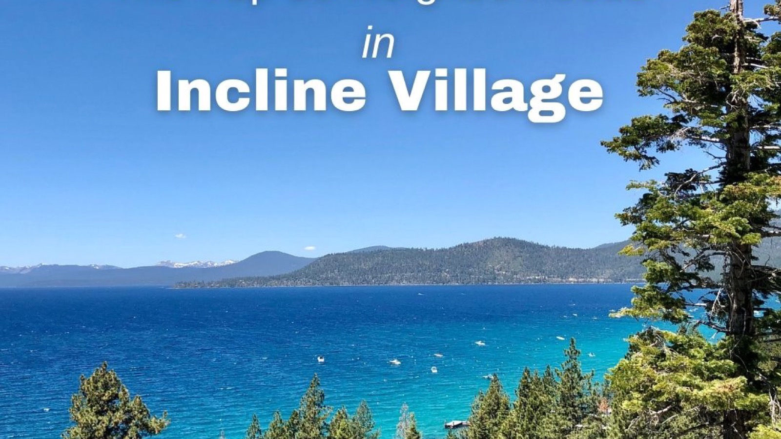 Incline Village Nevada mountain neighborhood with homes among tall pines near Lake Tahoe