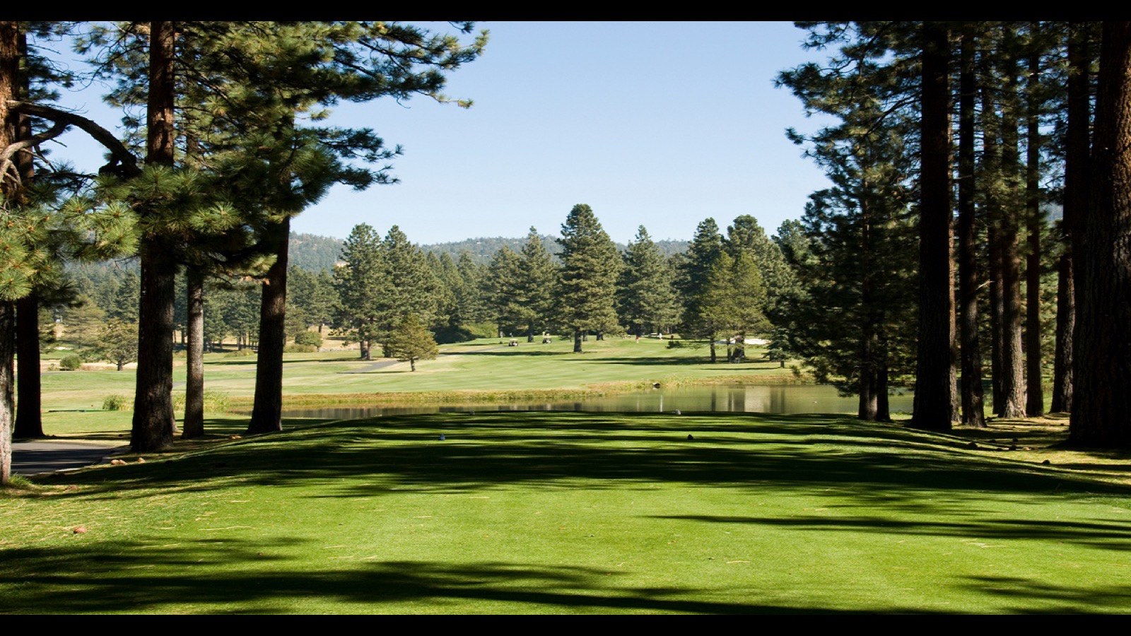 Exclusive gated Lake Tahoe neighborhood among pines with mountain and lake views on the Nevada side